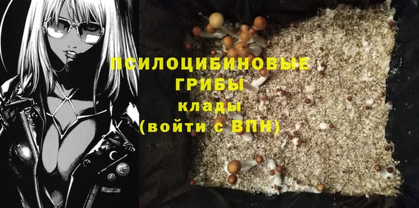 стаф Верея