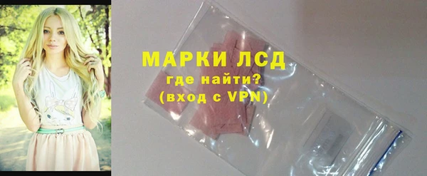 стаф Верея