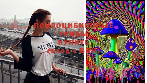 стаф Верея