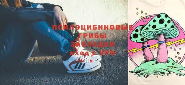 стаф Верея