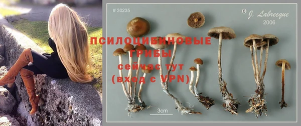 стаф Верея