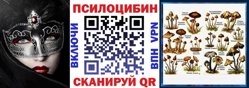 Галлюциногенные грибы прущие грибы  Рязань 